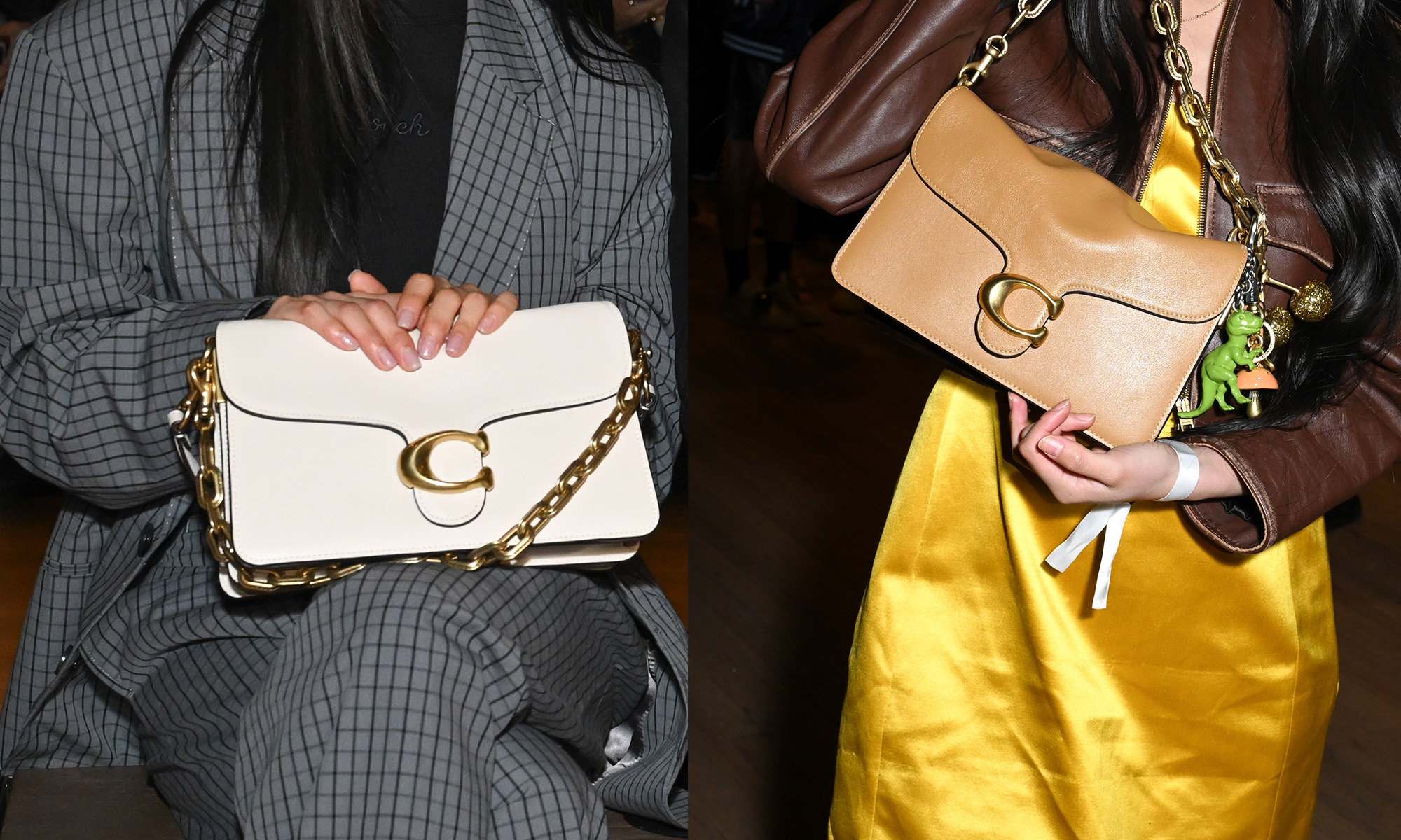 is Coach a luxury brand in the accessible luxury handbag market